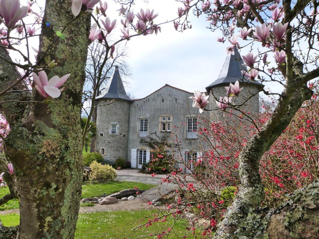 Chateau De Vidaussan Bed and Breakfast Labroquere Esterno foto