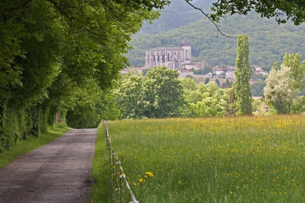 Chateau De Vidaussan Bed and Breakfast Labroquere Esterno foto